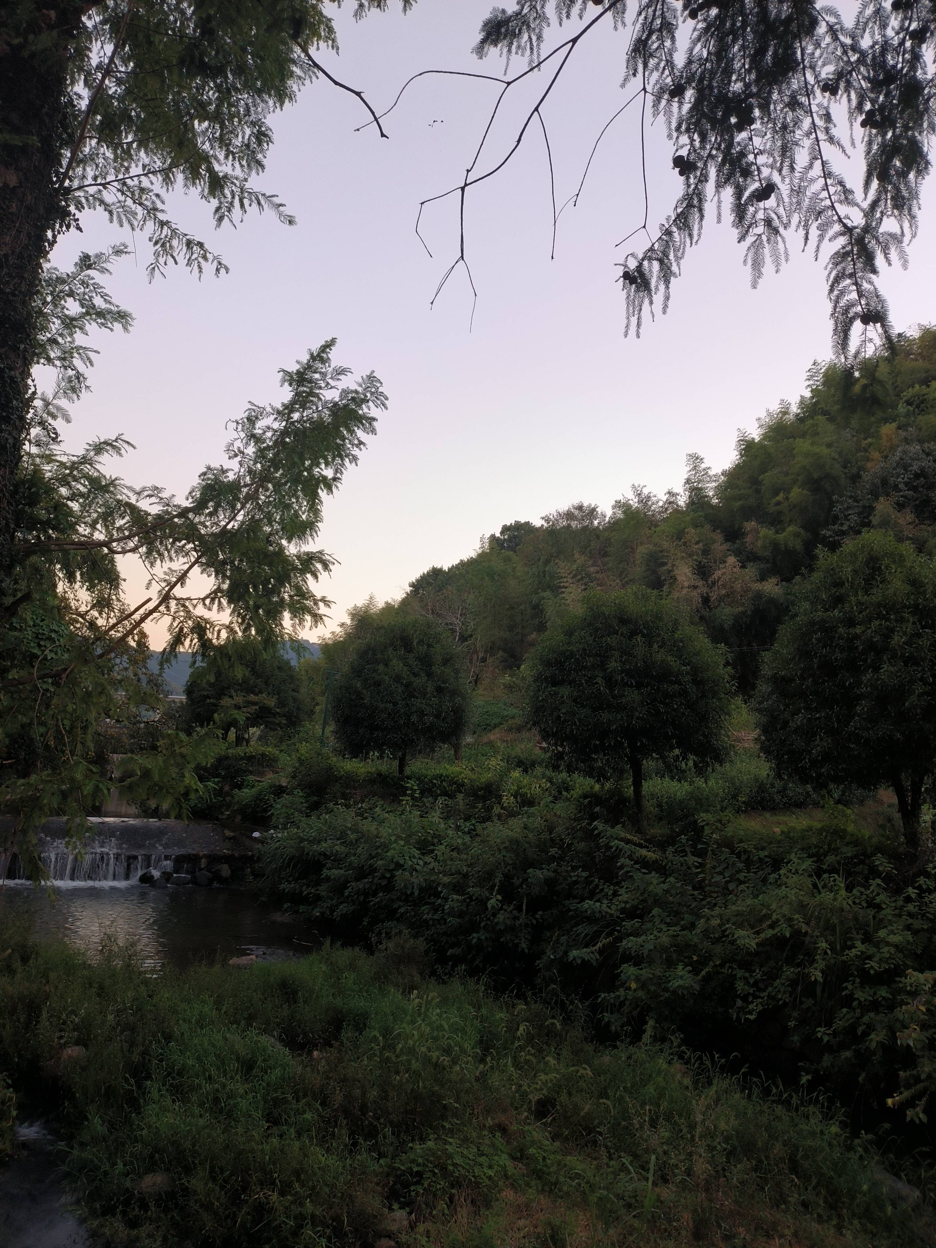 IMG_20261006_174926.jpg